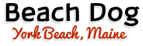 Beach-Dog-York-Beach-Maine-Logo