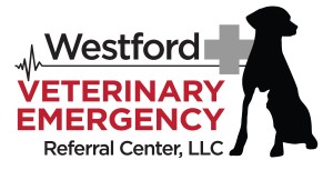 Westford Vet Final Logo-01