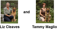 About Auntie Dog