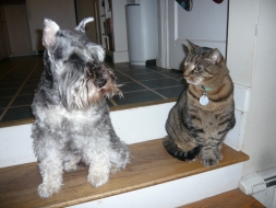 Dexter & Oscar 