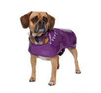 PHOTO BY: KELLEY & COMPANY PHOTOGRAPHY Kaiser Models for Scarlett Dream Coats